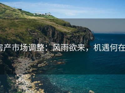 房产市场调整：风雨欲来，机遇何在？