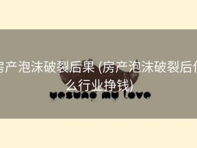 房产泡沫破裂后果 (房产泡沫破裂后什么行业挣钱)