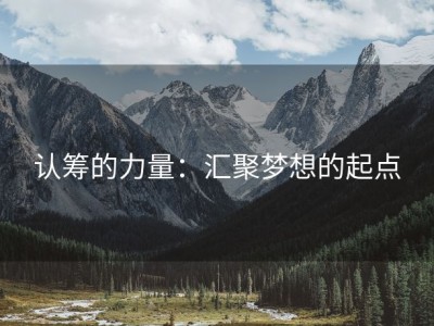 认筹的力量：汇聚梦想的起点