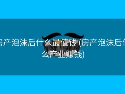 房产泡沫后什么最值钱 (房产泡沫后什么产业赚钱)