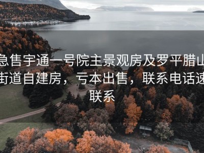 急售宇通一号院主景观房及罗平腊山街道自建房，亏本出售，联系电话速联系