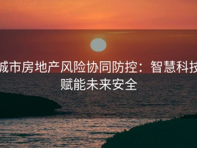 城市房地产风险协同防控：智慧科技赋能未来安全