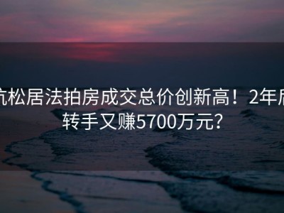 杭松居法拍房成交总价创新高！2年后转手又赚5700万元？