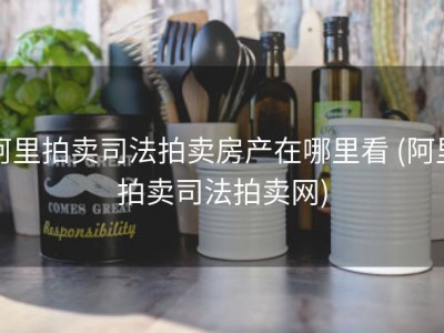 阿里拍卖司法拍卖房产在哪里看 (阿里拍卖司法拍卖网)