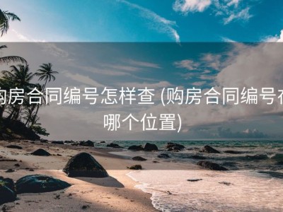 购房合同编号怎样查 (购房合同编号在哪个位置)