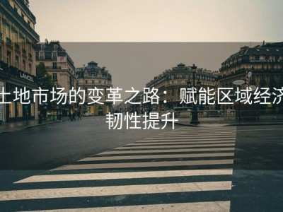 土地市场的变革之路：赋能区域经济韧性提升