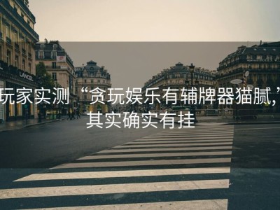 玩家实测“贪玩娱乐有辅牌器猫腻,”其实确实有挂