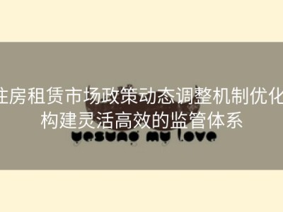 住房租赁市场政策动态调整机制优化：构建灵活高效的监管体系