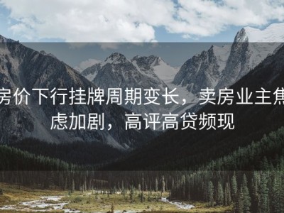 房价下行挂牌周期变长，卖房业主焦虑加剧，高评高贷频现