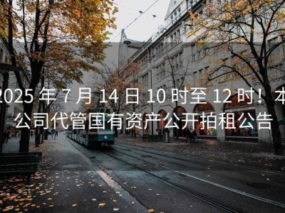 2025 年 7 月 14 日 10 时至 12 时！本公司代管国有资产公开拍租公告