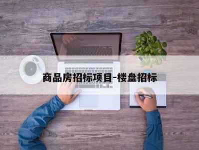 商品房招标项目-楼盘招标