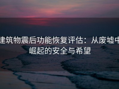 建筑物震后功能恢复评估：从废墟中崛起的安全与希望