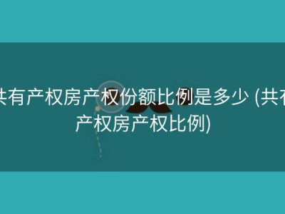 共有产权房产权份额比例是多少 (共有产权房产权比例)