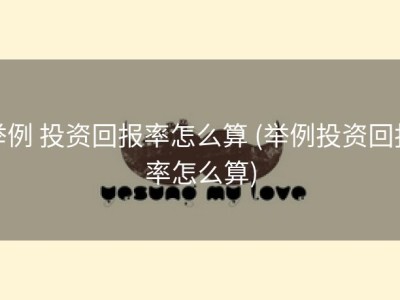 举例 投资回报率怎么算 (举例投资回报率怎么算)