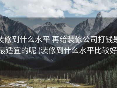 装修到什么水平 再给装修公司打钱是最适宜的呢 (装修到什么水平比较好)