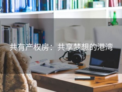 共有产权房：共享梦想的港湾