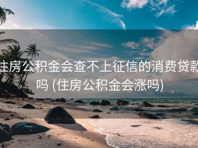 住房公积金会查不上征信的消费贷款吗 (住房公积金会涨吗)