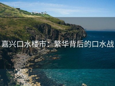 嘉兴口水楼市：繁华背后的口水战