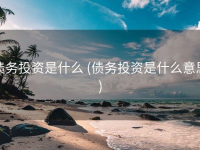 债务投资是什么 (债务投资是什么意思)