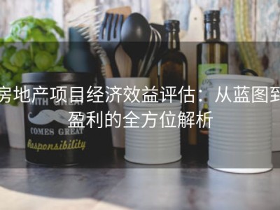 房地产项目经济效益评估：从蓝图到盈利的全方位解析