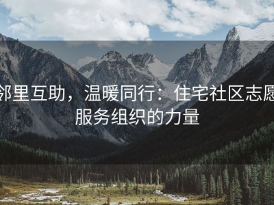 邻里互助，温暖同行：住宅社区志愿服务组织的力量