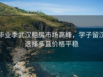 毕业季武汉租房市场高峰，学子留汉选择多且价格平稳