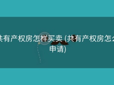 共有产权房怎样买卖 (共有产权房怎么申请)