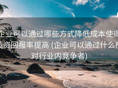 企业可以通过哪些方式降低成本使得投资回报率提高 (企业可以通过什么应对行业内竞争者)