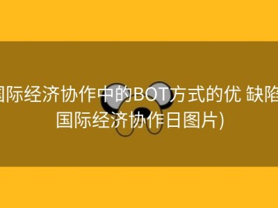 国际经济协作中的BOT方式的优 缺陷 (国际经济协作日图片)