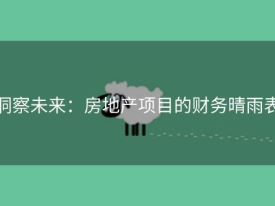 洞察未来：房地产项目的财务晴雨表