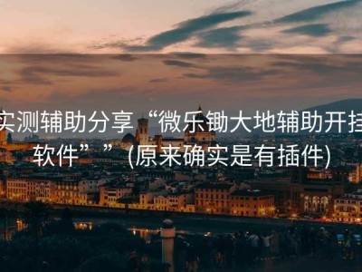 实测辅助分享“微乐锄大地辅助开挂软件””(原来确实是有插件)