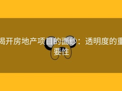 揭开房地产项目的面纱：透明度的重要性