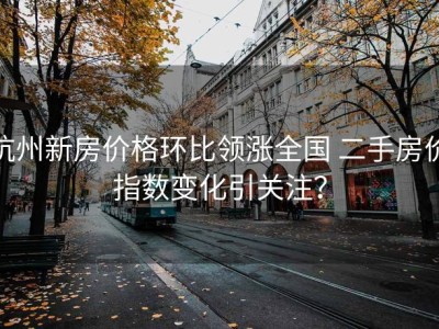 杭州新房价格环比领涨全国 二手房价指数变化引关注？