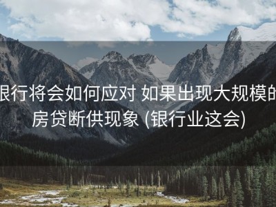 银行将会如何应对 如果出现大规模的房贷断供现象 (银行业这会)