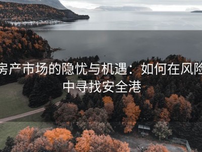 房产市场的隐忧与机遇：如何在风险中寻找安全港