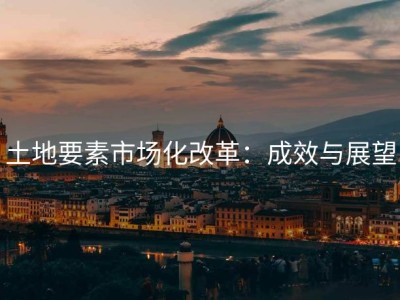 土地要素市场化改革：成效与展望