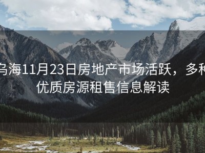 乌海11月23日房地产市场活跃，多种优质房源租售信息解读
