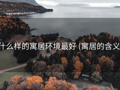 什么样的寓居环境最好 (寓居的含义)
