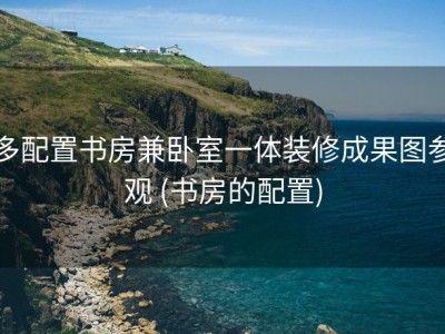 多配置书房兼卧室一体装修成果图参观 (书房的配置)
