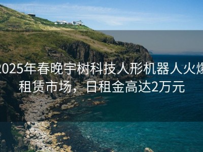 2025年春晚宇树科技人形机器人火爆租赁市场，日租金高达2万元