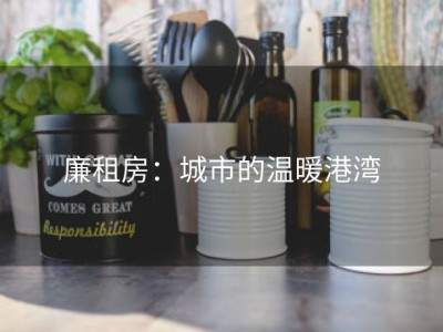 廉租房：城市的温暖港湾