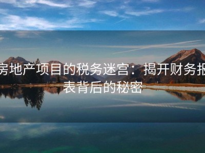 房地产项目的税务迷宫：揭开财务报表背后的秘密