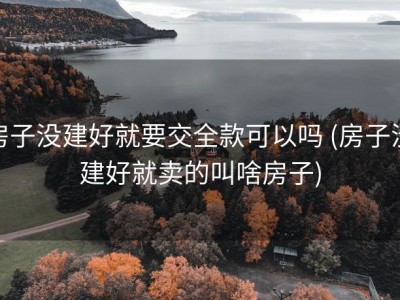 房子没建好就要交全款可以吗 (房子没建好就卖的叫啥房子)