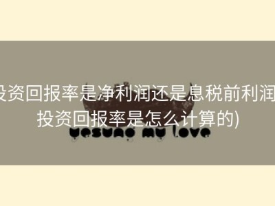 投资回报率是净利润还是息税前利润 (投资回报率是怎么计算的)