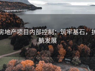 房地产项目内部控制：筑牢基石，护航发展