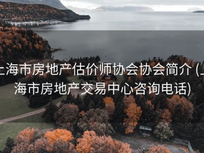上海市房地产估价师协会协会简介 (上海市房地产交易中心咨询电话)