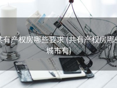 共有产权房哪些要求 (共有产权房哪些城市有)