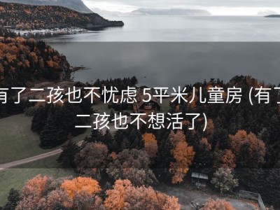 有了二孩也不忧虑 5平米儿童房 (有了二孩也不想活了)