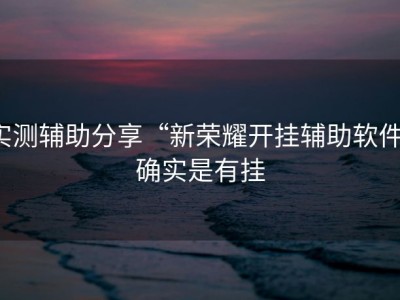 实测辅助分享“新荣耀开挂辅助软件”确实是有挂