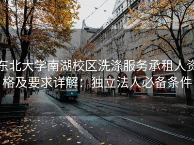 东北大学南湖校区洗涤服务承租人资格及要求详解：独立法人必备条件